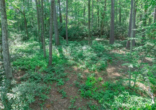 33rd image of 52 Trail Top Dr, Asheville, NC 28805 | MLS# 4272915