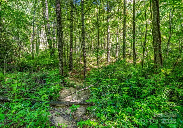 1st image of Tbd Climbing Rd, Hendersonville, NC 28792 | MLS# 4273020