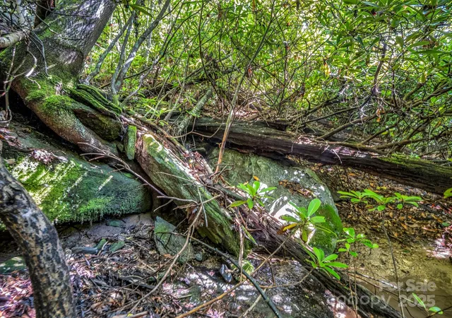 2nd image of Tbd Climbing Rd, Hendersonville, NC 28792 | MLS# 4273020