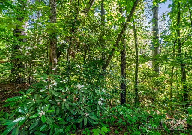 3rd image of Tbd Climbing Rd, Hendersonville, NC 28792 | MLS# 4273020