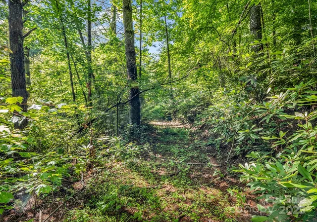 4th image of Tbd Climbing Rd, Hendersonville, NC 28792 | MLS# 4273020