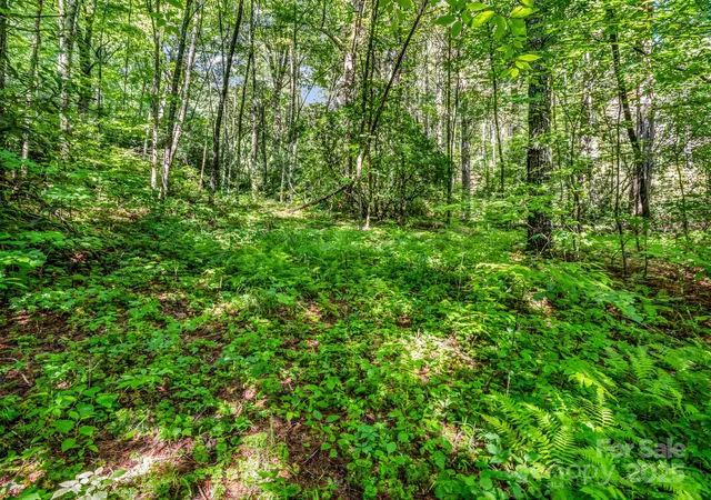 5th image of Tbd Climbing Rd, Hendersonville, NC 28792 | MLS# 4273020