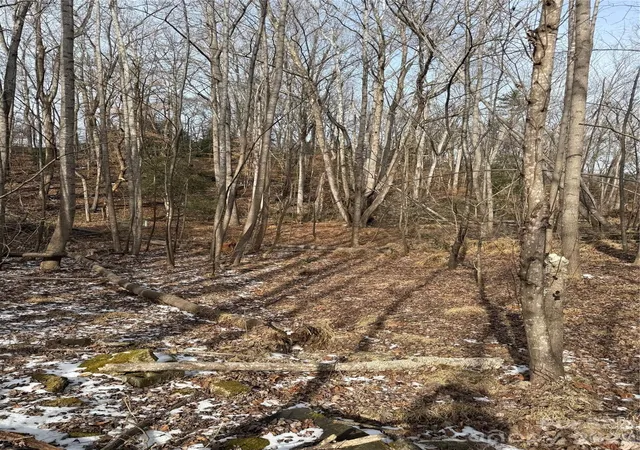 Photo 3 of Land for sale at 3024 Downing St #18A, Shelby, NC 28152 | MLS# 4273173 | Listing updated on 2026-04-24
