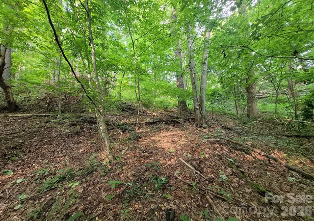 Photo 2 of Land for sale at 00 Serendipity Ln #111, Waynesville, NC 28785 | MLS# 4273357 | Listing updated on 2026-10-13