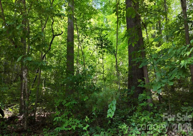 Photo 4 of Land for sale at 00 Serendipity Ln #111, Waynesville, NC 28785 | MLS# 4273357 | Listing updated on 2026-10-13