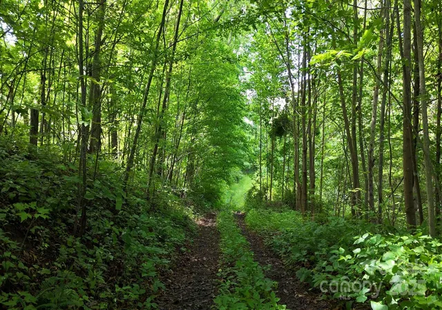 Homes for sale in Waynesville, NC | 00 Liner Cove Rd #2, Waynesville, NC 28786 | MLS# 4273581