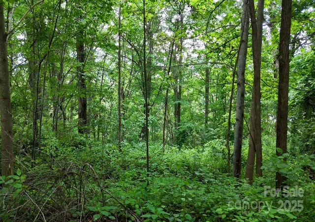 Homes for sale in Waynesville, NC | 00 Liner Cove Rd #2, Waynesville, NC 28786 | MLS# 4273581