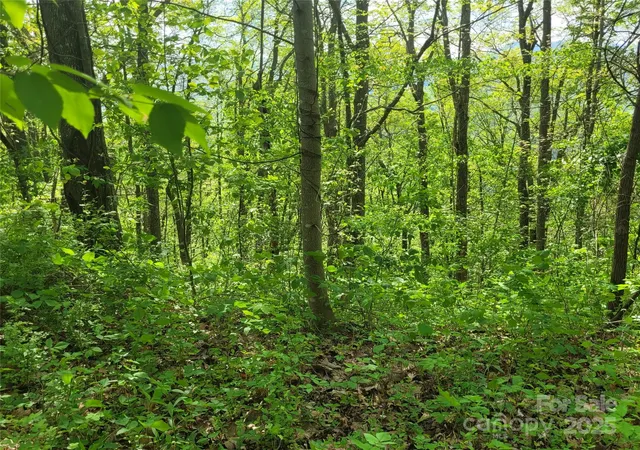 Homes for sale in Waynesville, NC | 00 Liner Cove Rd #2, Waynesville, NC 28786 | MLS# 4273581