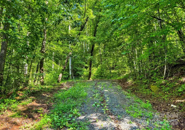 Photo 3 of Land for sale at Lot 77 Hunnicut Spur Rd, Marion, NC 28752 | MLS# 4273656 | Listing updated on 2026-01-06