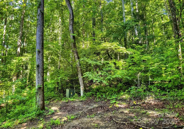Photo 4 of Land for sale at Lot 77 Hunnicut Spur Rd, Marion, NC 28752 | MLS# 4273656 | Listing updated on 2026-01-06