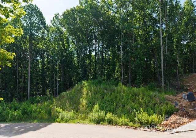 2nd image of 0 Honey Tree Ln, Concord, NC 28027 | MLS# 4273758