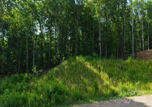 4th image of 0 Honey Tree Ln, Concord, NC 28027 | MLS# 4273758