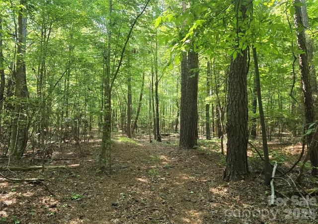 Photo 2 of Land for sale at 00 Hoke Rd, Heath Springs, SC 29058 | MLS# 4274335 | Listing updated on 2026-10-06
