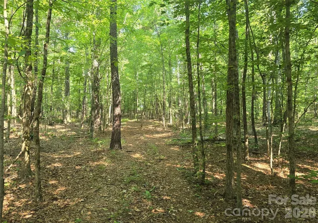 Photo 3 of Land for sale at 00 Hoke Rd, Heath Springs, SC 29058 | MLS# 4274335 | Listing updated on 2026-10-06