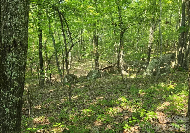 Photo 3 of Land for sale at 00 Hoke Rd, Heath Springs, SC 29058 | MLS# 4274335 | Listing updated on 2026-10-06