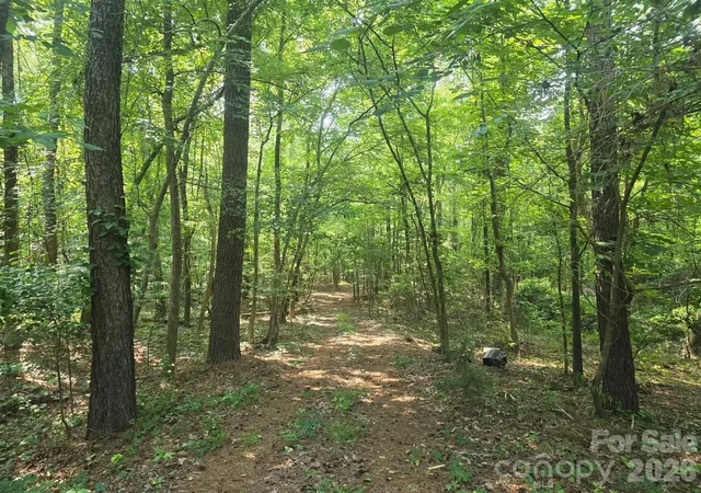 Photo 4 of Land for sale at 00 Hoke Rd, Heath Springs, SC 29058 | MLS# 4274335 | Listing updated on 2026-10-06