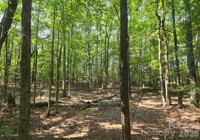 Photo 6 of Land for sale at 00 Hoke Rd, Heath Springs, SC 29058 | MLS# 4274335 | Listing updated on 2026-10-14