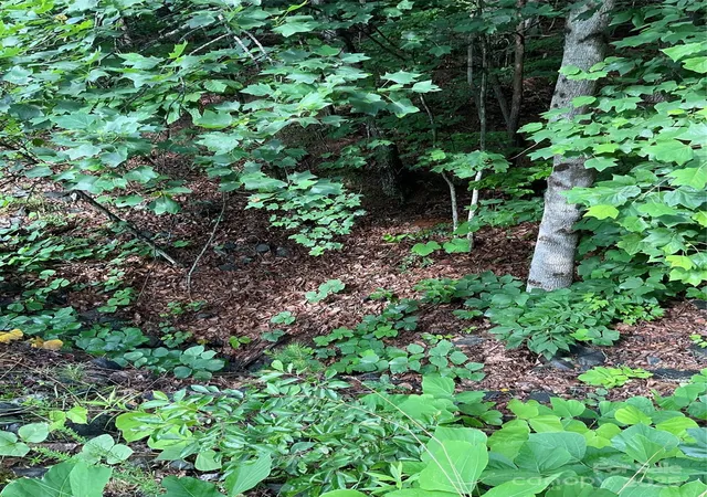 Photo 3 of Land for sale at 0 Valley View Ct, Hickory, NC 28602 | MLS# 4274417 | Listing updated on 2026-06-17