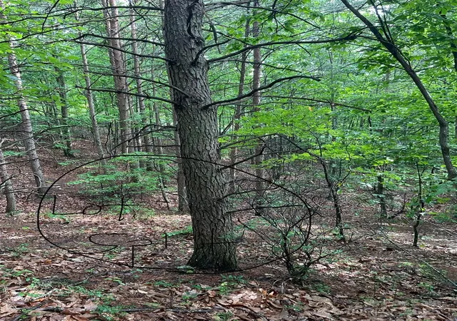 Photo 3 of Land for sale at 0 Valley View Ct, Hickory, NC 28602 | MLS# 4274417 | Listing updated on 2026-06-17