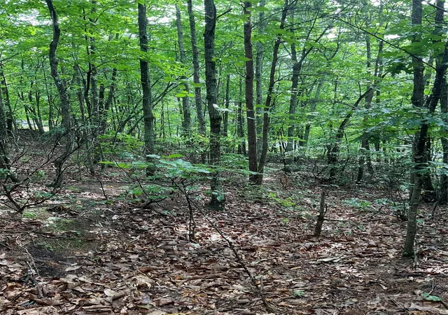 Photo 4 of Land for sale at 0 Valley View Ct, Hickory, NC 28602 | MLS# 4274417 | Listing updated on 2026-06-17