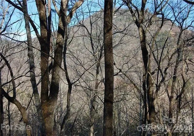 Homes for sale in Lake Lure, NC | Lot 30 Summit Ct #30, Lake Lure, NC 28746 | MLS# 4275323