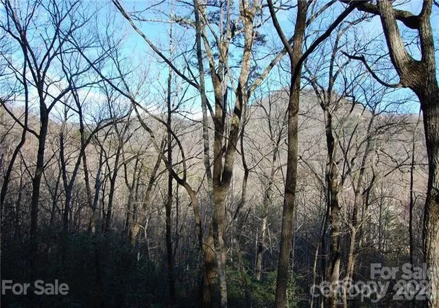Homes for sale in Lake Lure, NC | Lot 30 Summit Ct #30, Lake Lure, NC 28746 | MLS# 4275323