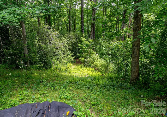 Photo 3 of Single family home for sale at 164 Horseplay Ln, Lake Toxaway, NC 28747 | MLS# 4275462 | Listing updated on 2026-10-02