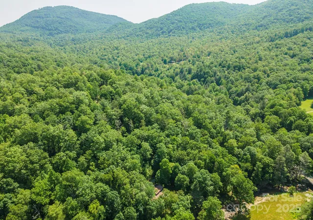 Homes for sale in Black Mountain, NC | 11 Roy Ln, Black Mountain, NC 28711 | MLS# 4276108
