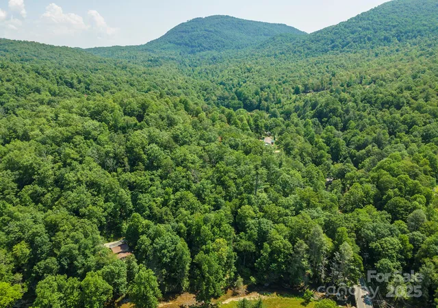 Homes for sale in Black Mountain, NC | 11 Roy Ln, Black Mountain, NC 28711 | MLS# 4276108