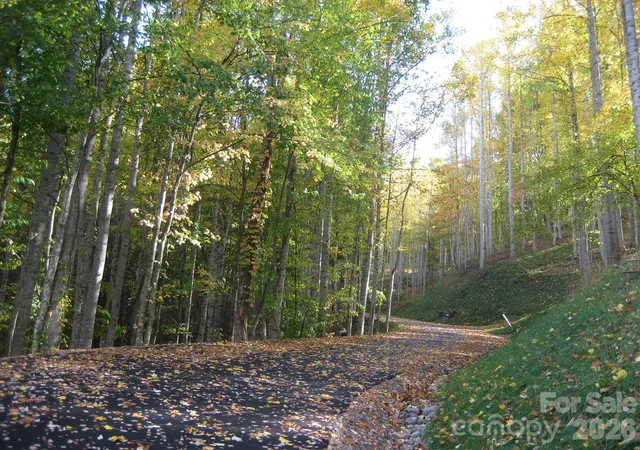 2nd image of 11 Katua Trl #10 & 11, Maggie Valley, NC 28751 | MLS# 4276204