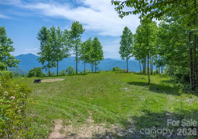 Homes for sale in Sylva, NC | 3409 Parris Branch Rd, Sylva, NC 28779 | MLS# 4276386