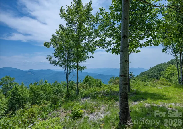 Homes for sale in Sylva, NC | 3409 Parris Branch Rd, Sylva, NC 28779 | MLS# 4276386
