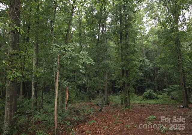 Photo 3 of Land for sale at Tbd Rainbow Rd, Wadesboro, NC 28170 | MLS# 4276476 | Listing updated on 2026-09-03