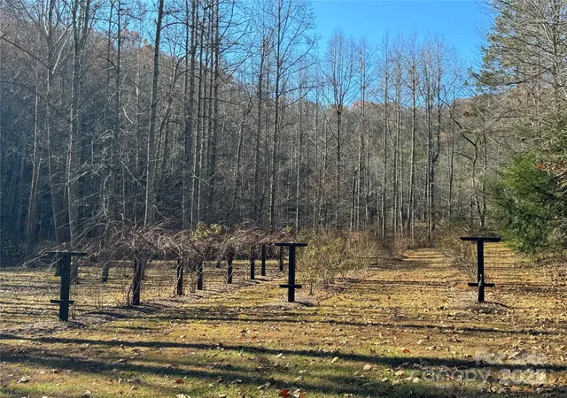 3rd image of Site 5 Woodfen Ln, Lake Lure, NC 28746 | MLS# 4276891