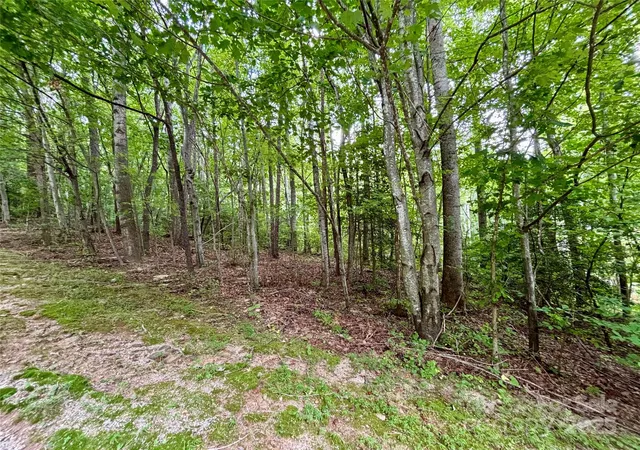 Photo 3 of Land for sale at 0 Sunlight Ridge Ct, Hendersonville, NC 28792 | MLS# 4277360 | Listing updated on 2026-02-28