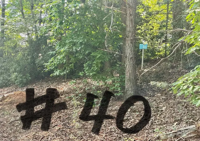Photo 4 of Land for sale at 00 Plantation Dr #40 & 41, Marion, NC 28752 | MLS# 4278627 | Listing updated on 2026-09-01