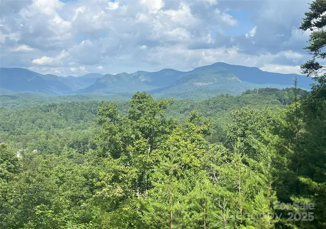 3rd image of 00 Bills Mountain Trl #6, Lake Lure, NC 28746 | MLS# 4278806