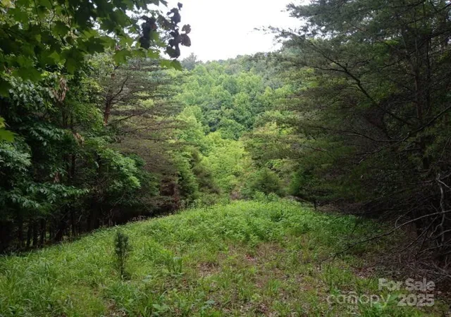 Photo 2 of Single family home for sale at 2255 Nc Hwy 268 W, Wilkesboro, NC 28697 | MLS# 4280174 | Listing updated on 2026-09-13
