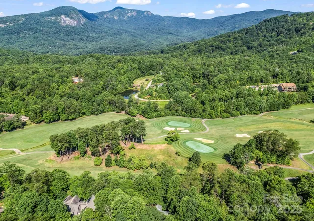 Homes for sale in Lake Lure, NC | 193 Downing Pl, Lake Lure, NC 28746 | MLS# 4280208