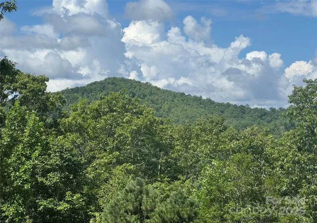 Land for sale at 999 Ivy Ln, Pisgah Forest, NC 28768 | MLS# 4280386