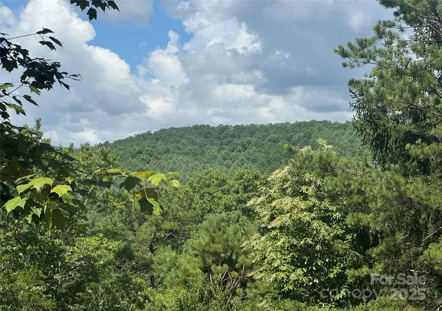 Photo 2 of Land for sale at 999 Ivy Ln, Pisgah Forest, NC 28768 | MLS# 4280386 | Listing updated on 2026-09-20