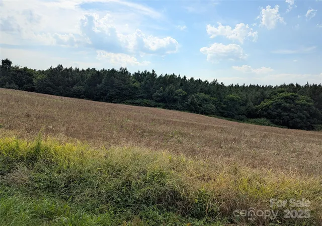 Photo 2 of Land for sale at 1455 Blonnie Ross Rd, Polkton, NC 28135 | MLS# 4280647 | Listing updated on 2026-10-24