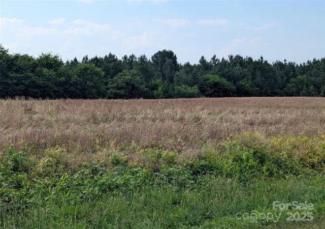 Photo 3 of Land for sale at 1455 Blonnie Ross Rd, Polkton, NC 28135 | MLS# 4280647 | Listing updated on 2026-10-24