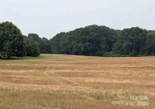 Photo 4 of Land for sale at 1455 Blonnie Ross Rd, Polkton, NC 28135 | MLS# 4280647 | Listing updated on 2026-10-24