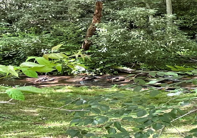Photo 4 of Land for sale at 686 Mashstomp Rd, Maggie Valley, NC 28751 | MLS# 4280764 | Listing updated on 2026-06-29