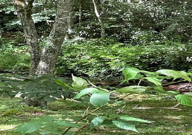 Photo 5 of Land for sale at 686 Mashstomp Rd, Maggie Valley, NC 28751 | MLS# 4280764 | Listing updated on 2026-06-29