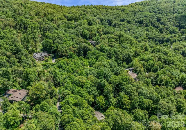 46th image of 150 Sondley Pkwy, Asheville, NC 28805 | MLS# 4280880
