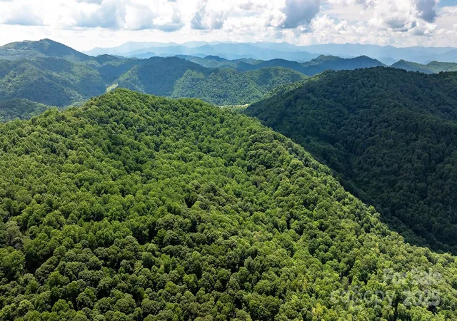 Photo 2 of Land for sale at 1710 Roaring Frk Rd, Mars Hill, NC 28754 | MLS# 4281225 | Listing updated on 2026-07-14