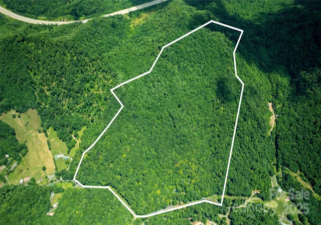 Photo 21 of Land for sale at 1710 Roaring Frk Rd, Mars Hill, NC 28754 | MLS# 4281225 | Listing updated on 2026-07-14