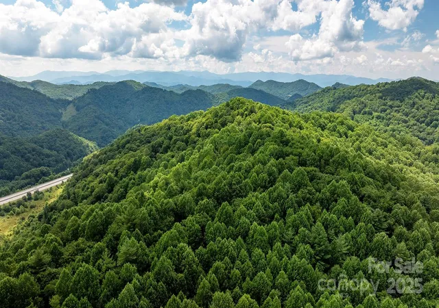 Photo 3 of Land for sale at 1710 Roaring Frk Rd, Mars Hill, NC 28754 | MLS# 4281225 | Listing updated on 2026-07-14